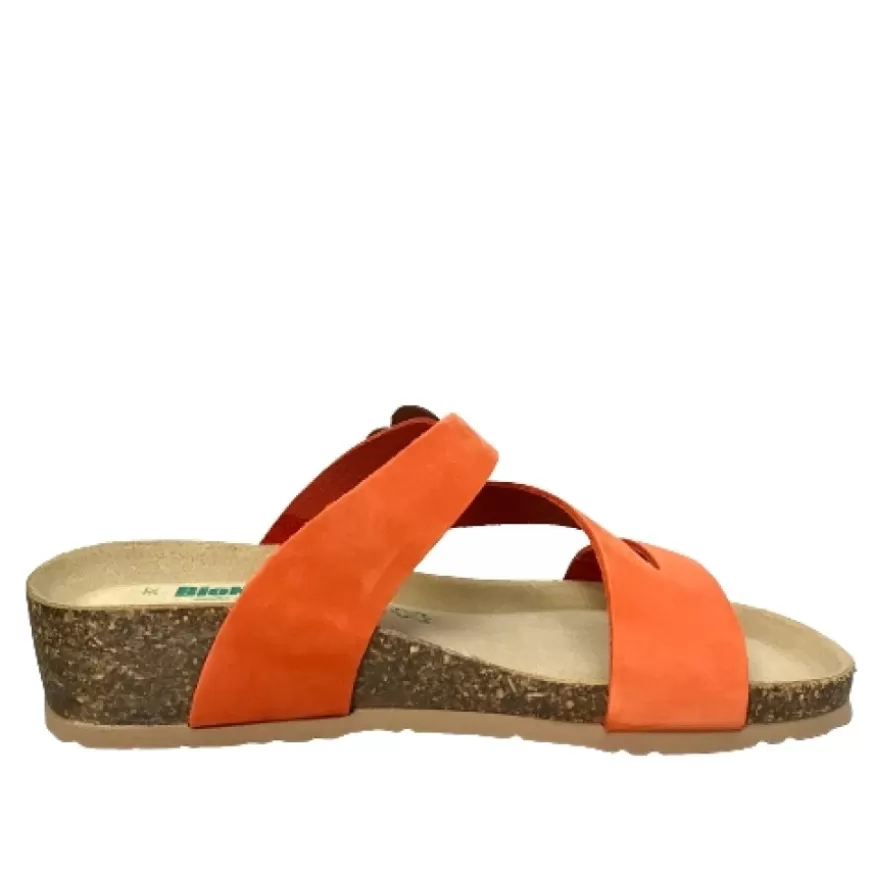 Donna CAMARRI CALZATURE Scarpe Donna | Ciabatta Bionatura Mandarino