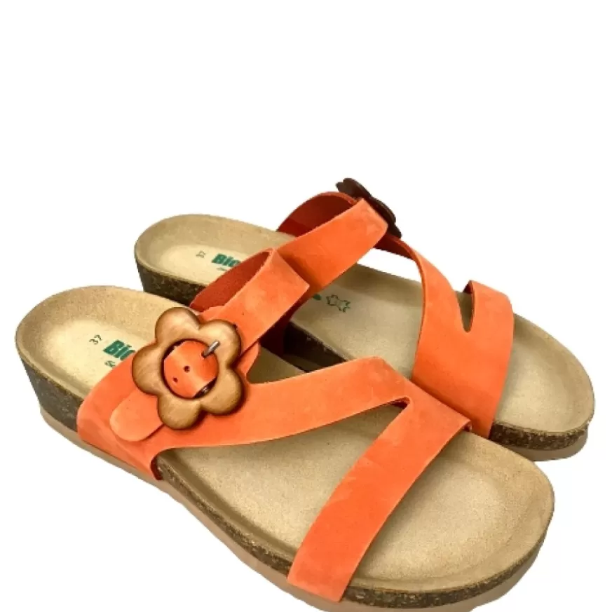 Donna CAMARRI CALZATURE Scarpe Donna | Ciabatta Bionatura Mandarino