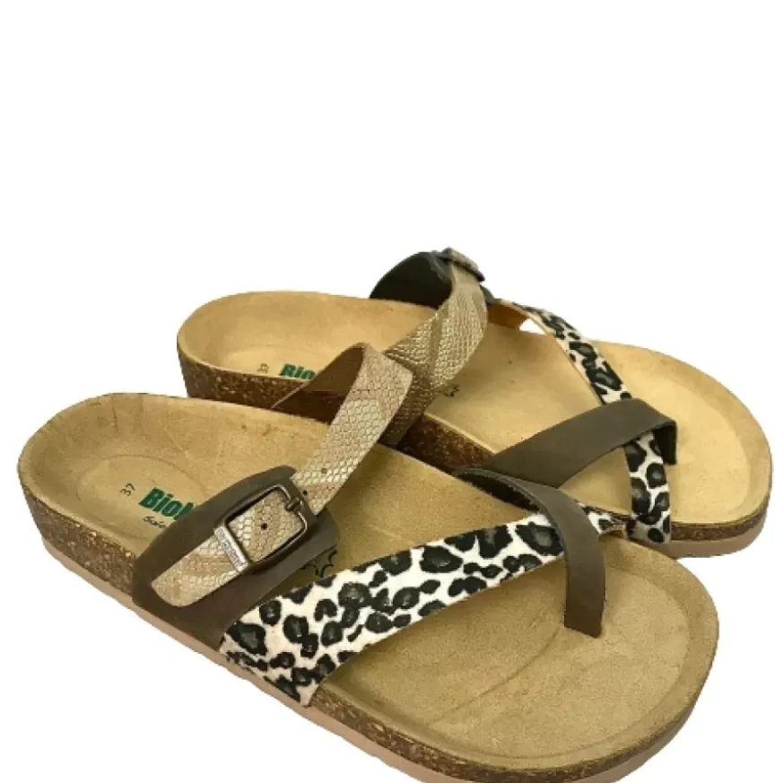 Donna CAMARRI CALZATURE Scarpe Donna | Ciabatta Infradito Bionatura In Pelle Animalier Bassa